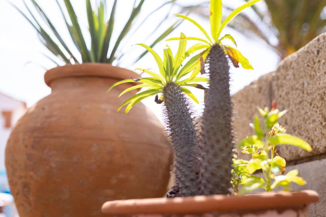 Casa Limon - Ocean View - Bbq - Garden - Terrace - Free Wifi - Child & Pet-Friendly - 2 Bedrooms - 6 People Poris de Abona Eksteriør bilde
